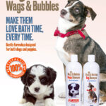 Wags & Bubbles