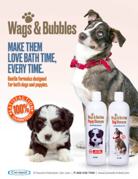 Wags & Bubbles